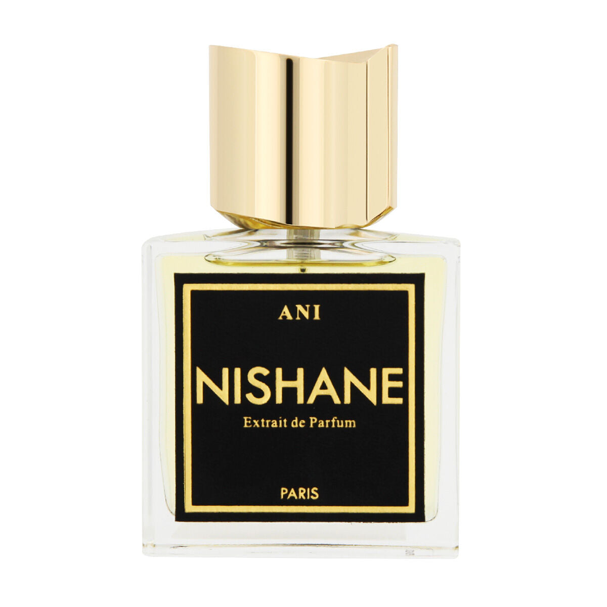 Parfum Unisex Nishane Ani 50 ml